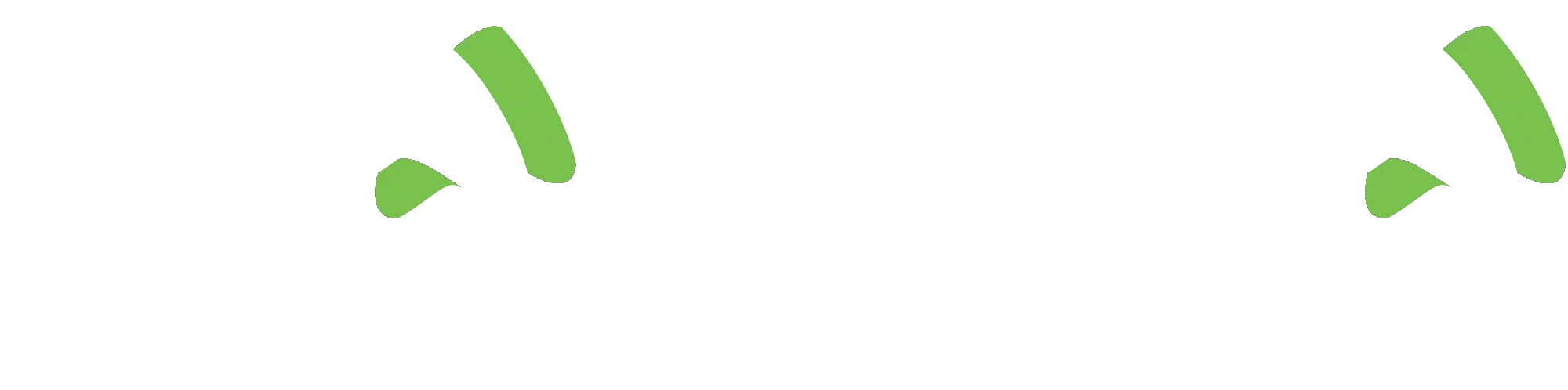 Mahima Metals